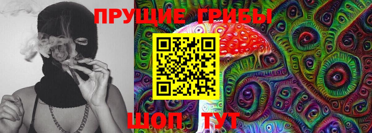 Реутов  Псилоцибиновые грибы GOLDEN TEACHER  Псилоцибиновые грибы прущие грибы  Вход с VPN 