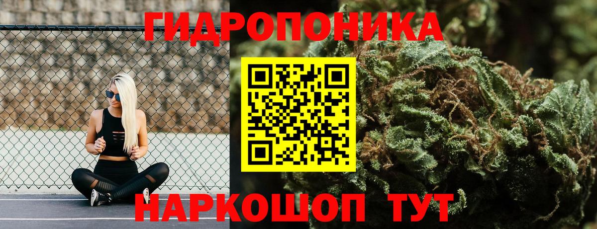 Бошки Шишки MAZAR Реутов
